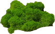 эльфийский зеленый